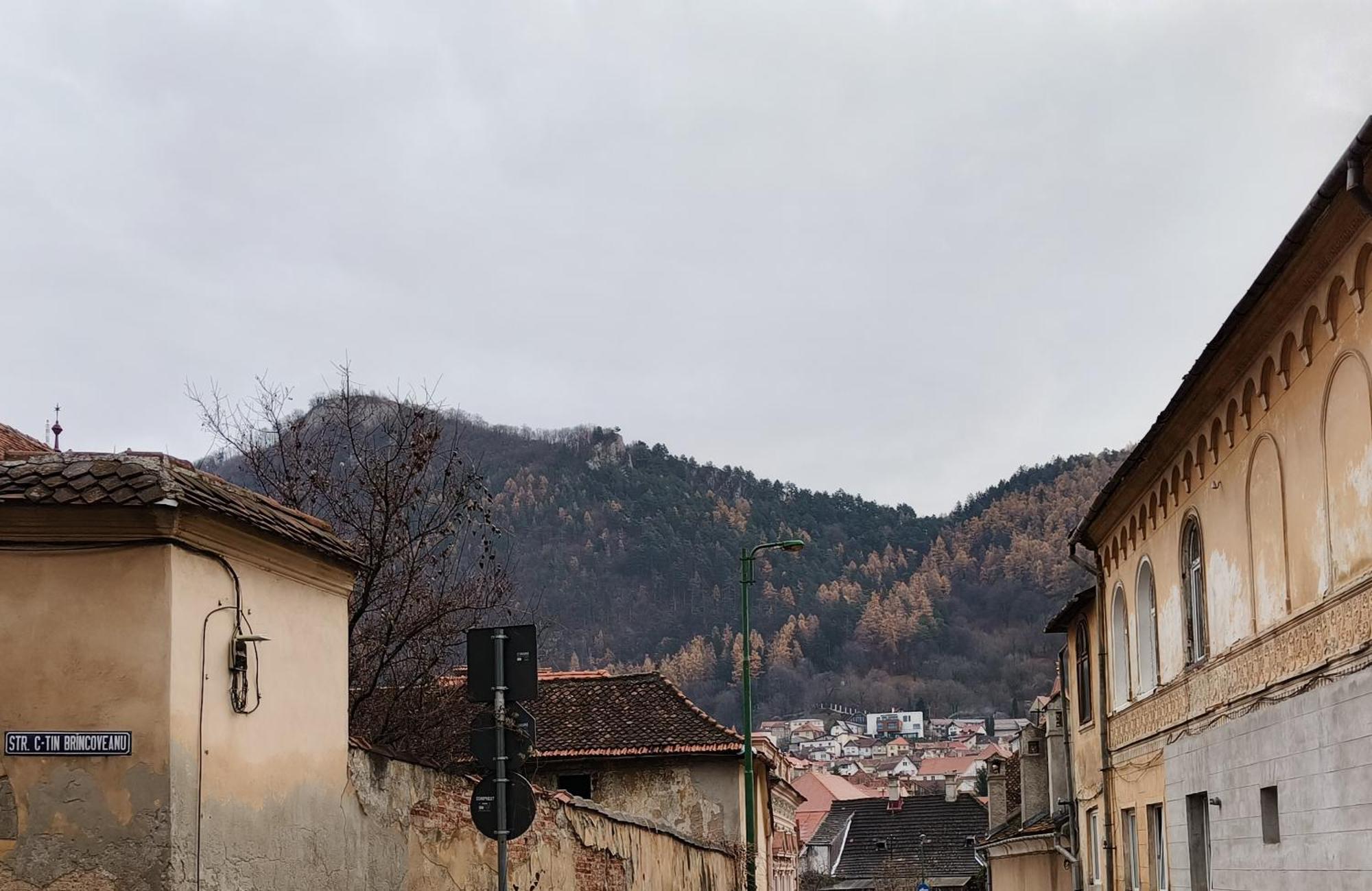 Golden Greens Studio - Mountain Scenery Brašov Exteriér fotografie